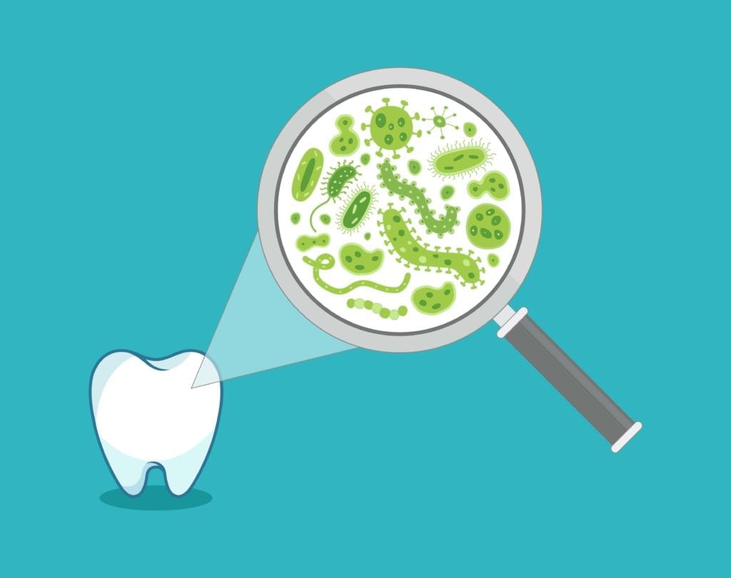 cartoon tooth with a magnifying glass showing bacteria