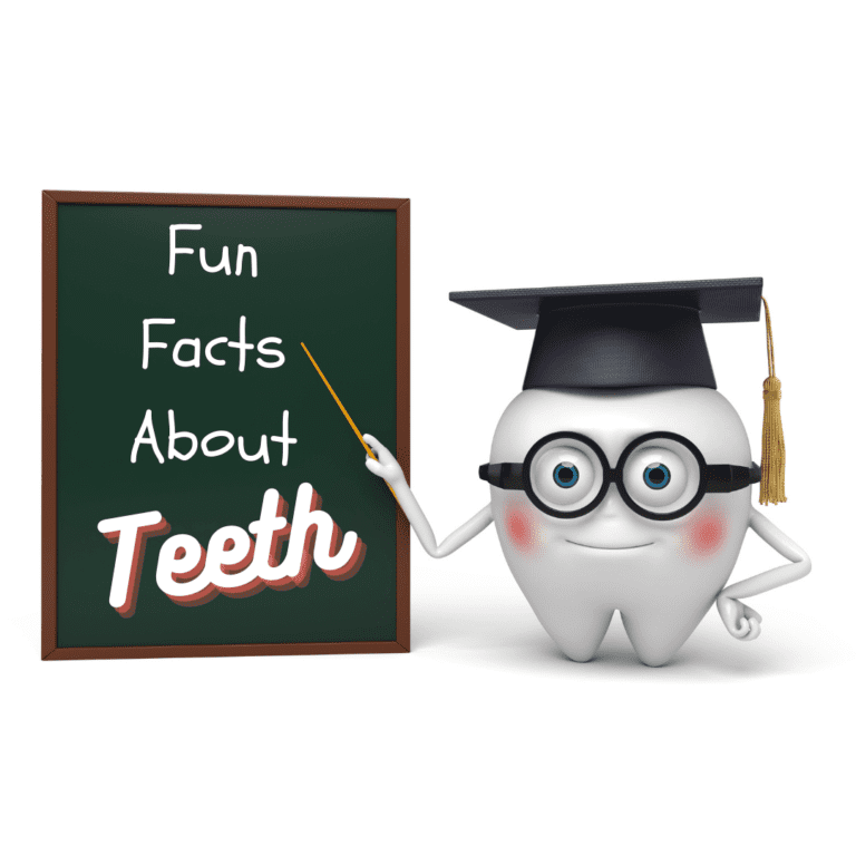 Fun facts about Teeth (1)